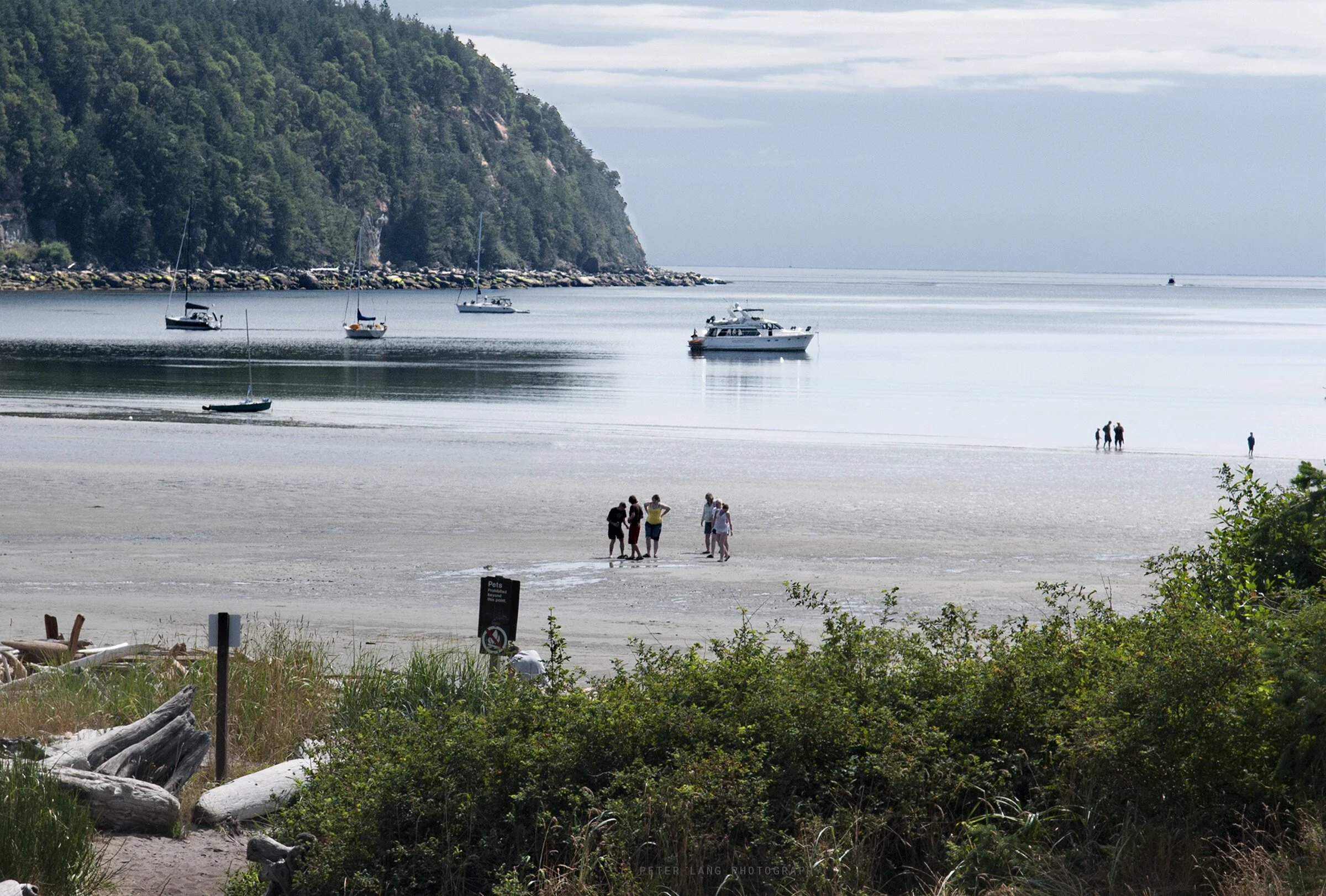 Tribune Bay, Hornby Island