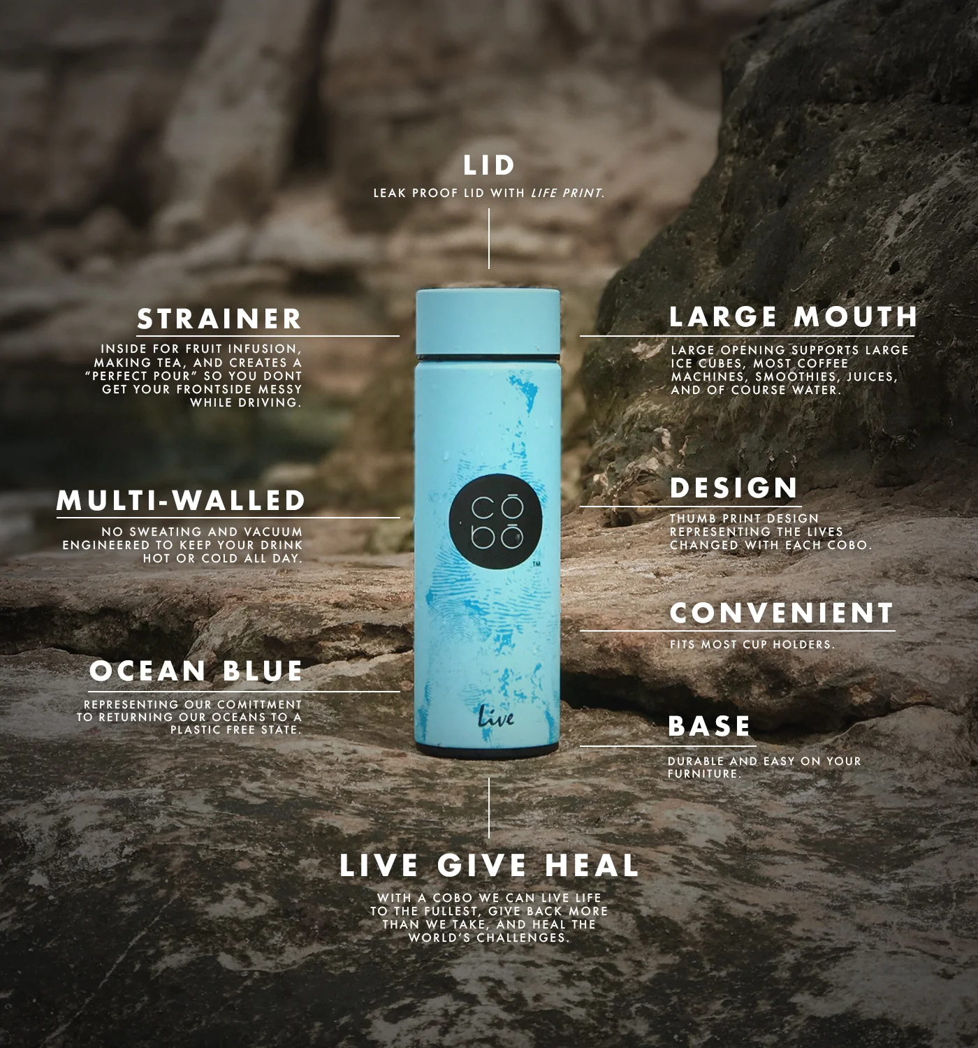 Large_Diagram Image_COBO Website.jpg