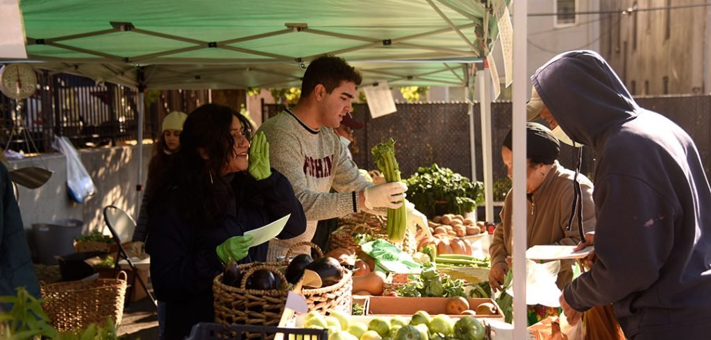 farmers-market1078-1024x490.jpg