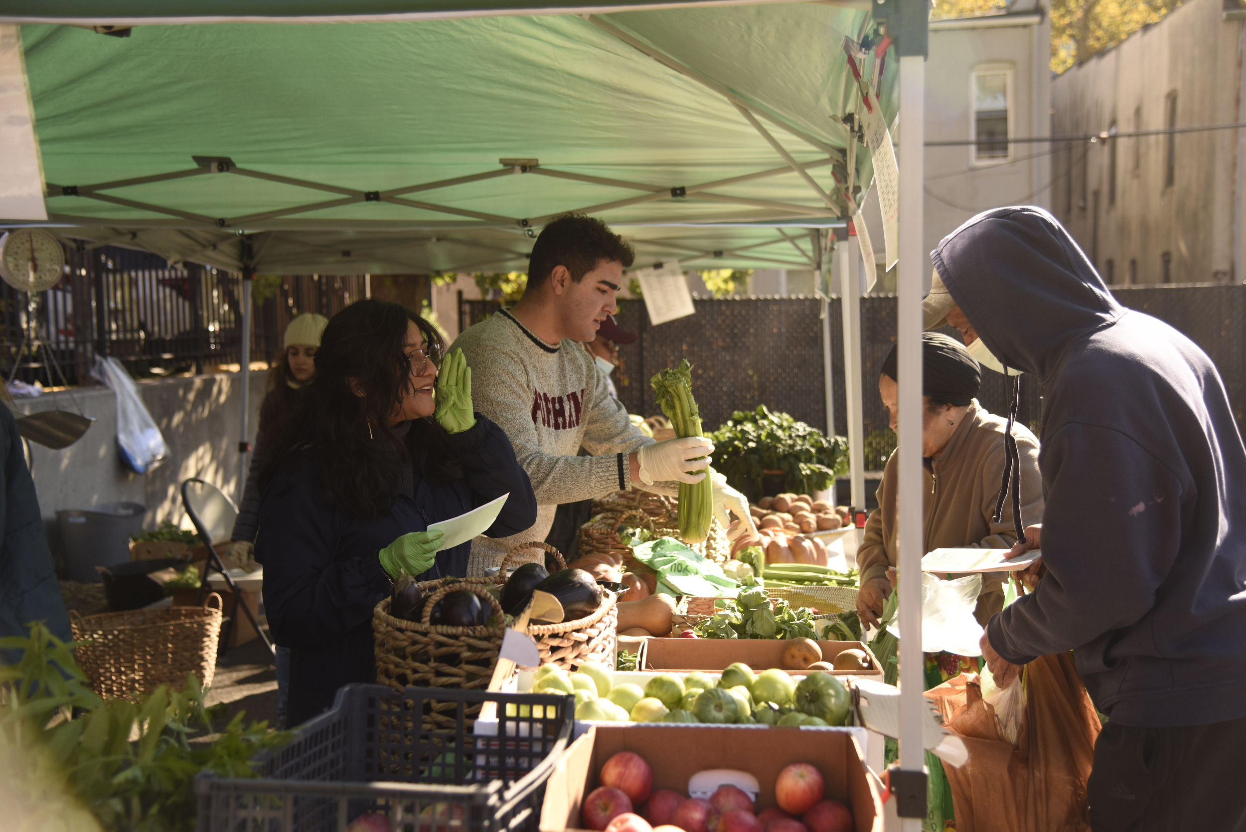 Farmers Market 1 copy.png