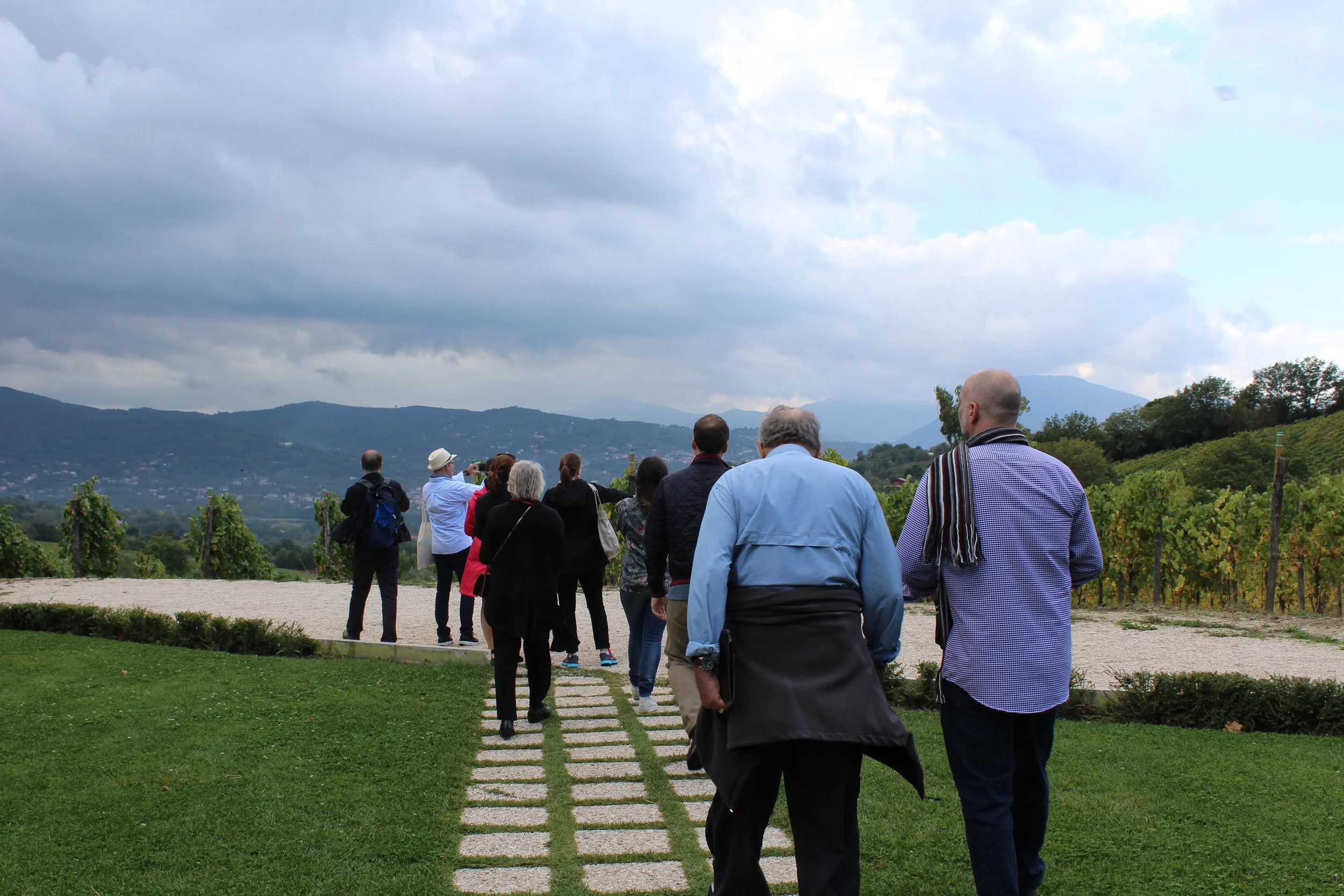 Guests on the October 2015 wine tour walking out to see the Greco di Tufo grapes on the vines.