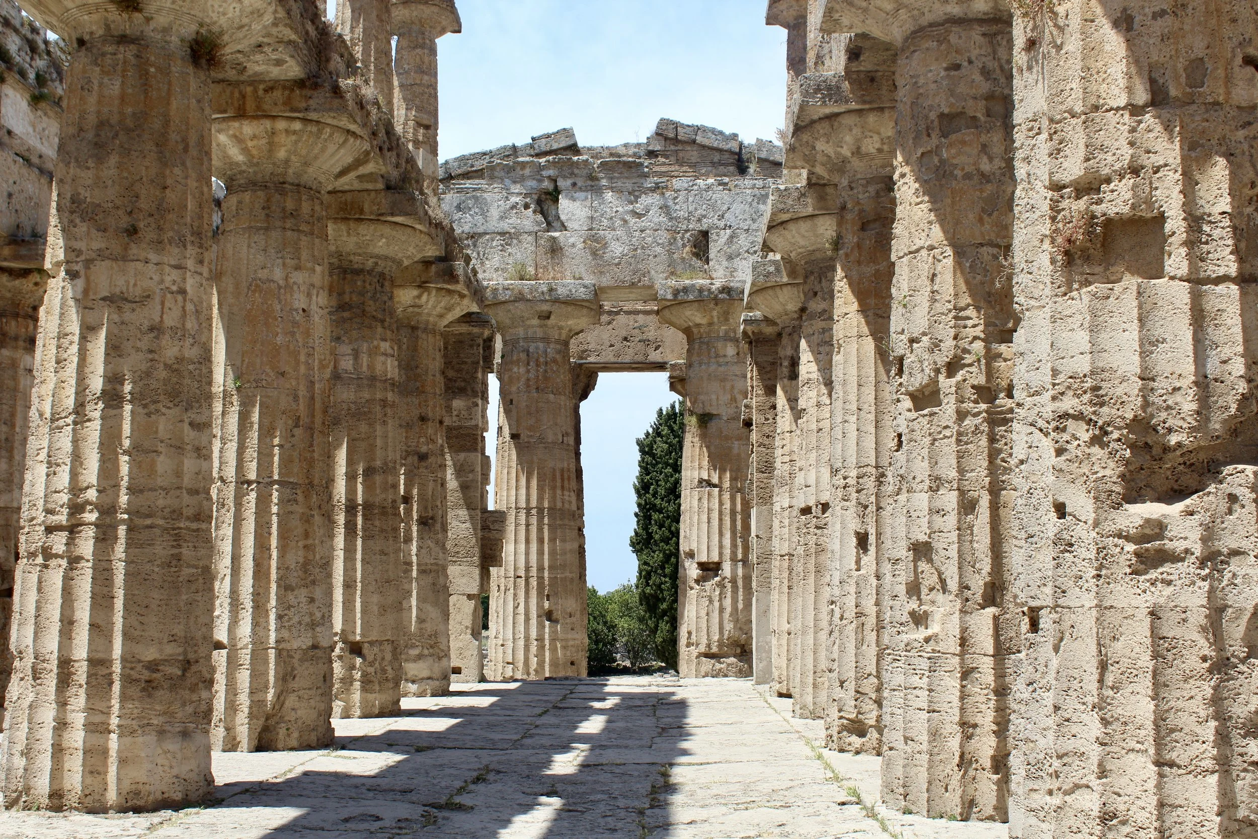 Ancient Greek temples at the Paestum archaeological park.