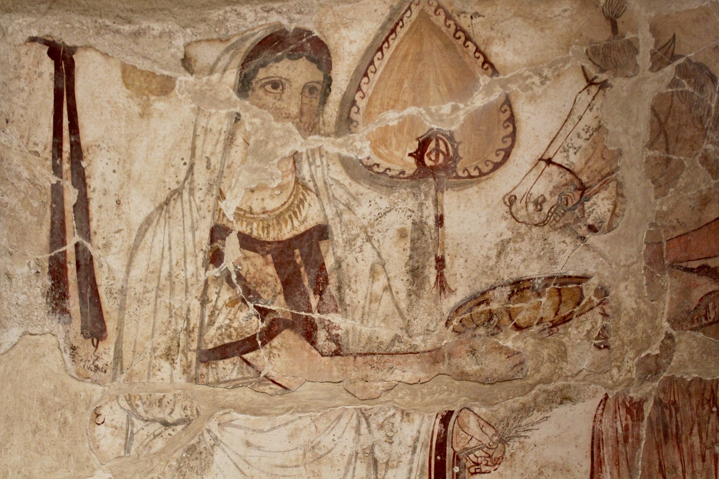 Lucanian tombs in museum vaults