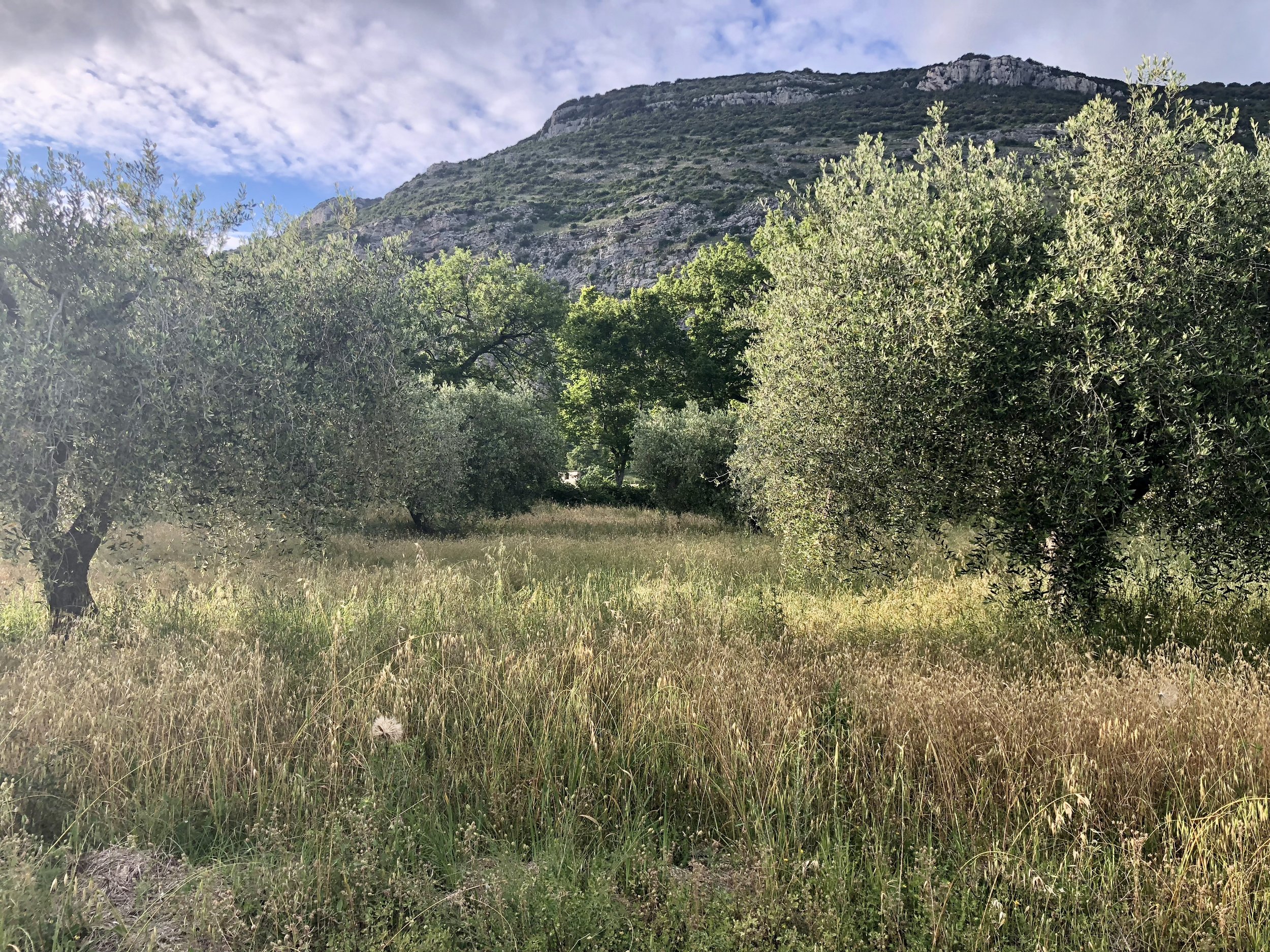 Hike from Capaccio to Trentinara