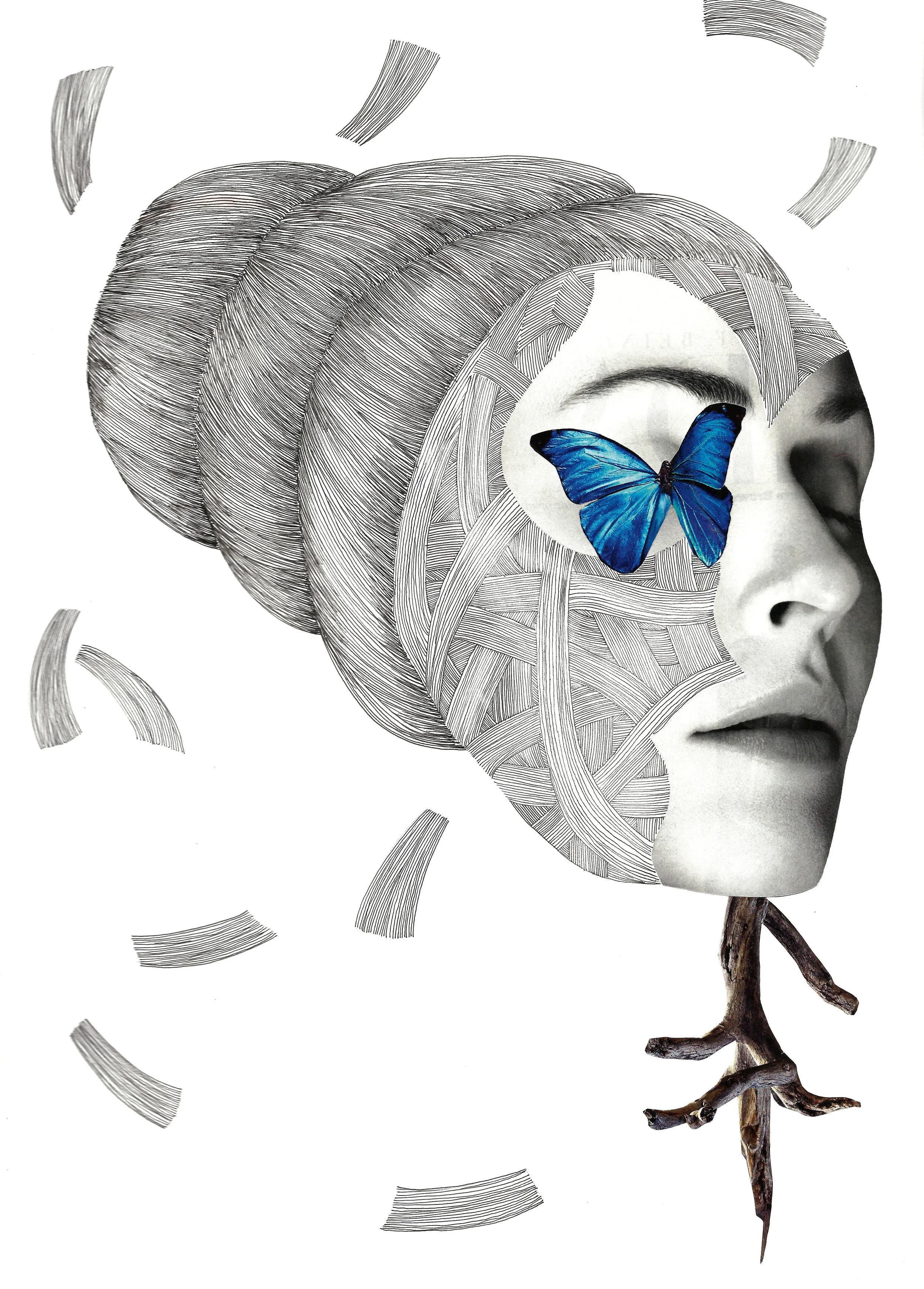 Emerged (II)