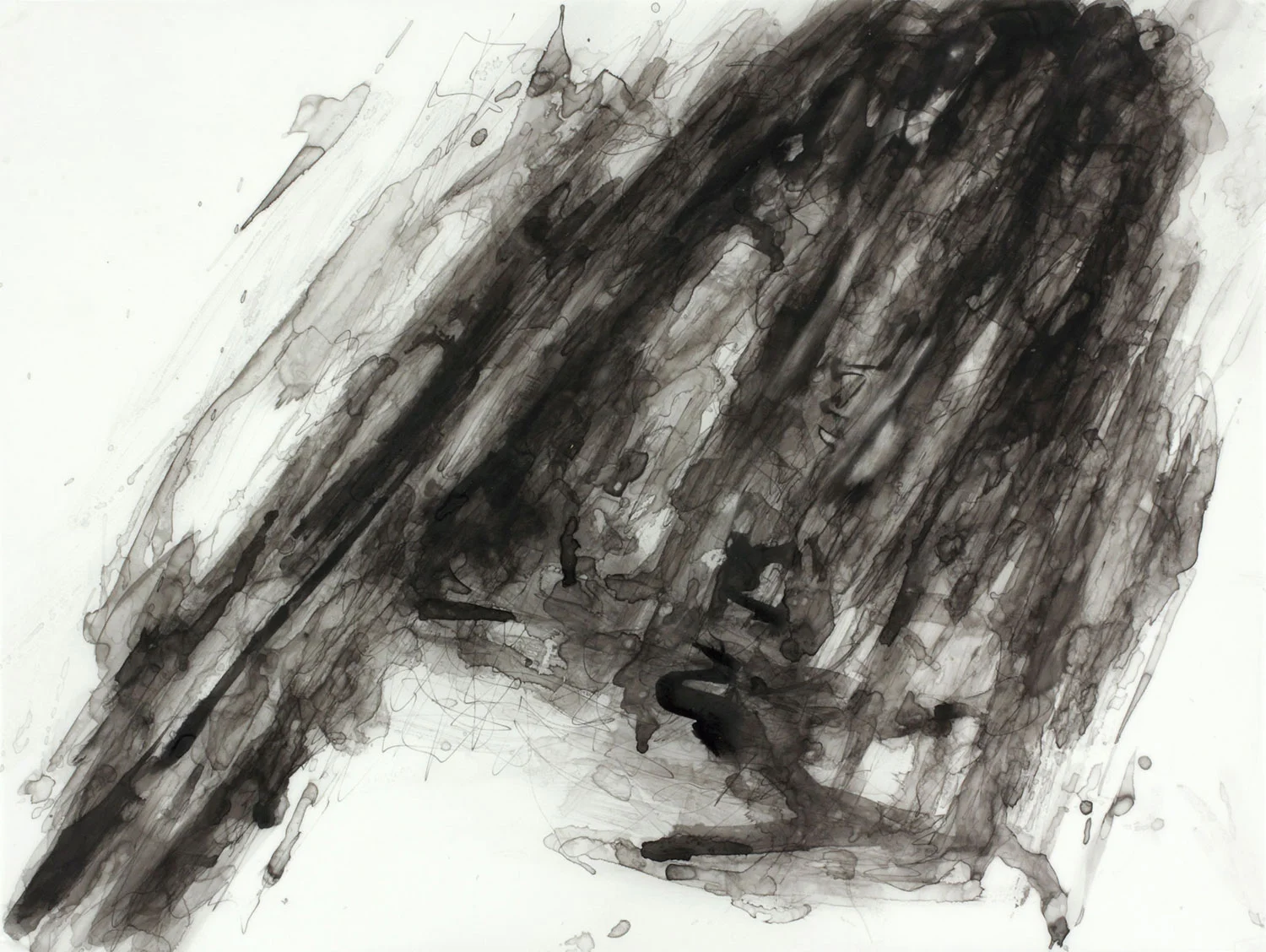 Du Viaur 1 19" x 25" 2012