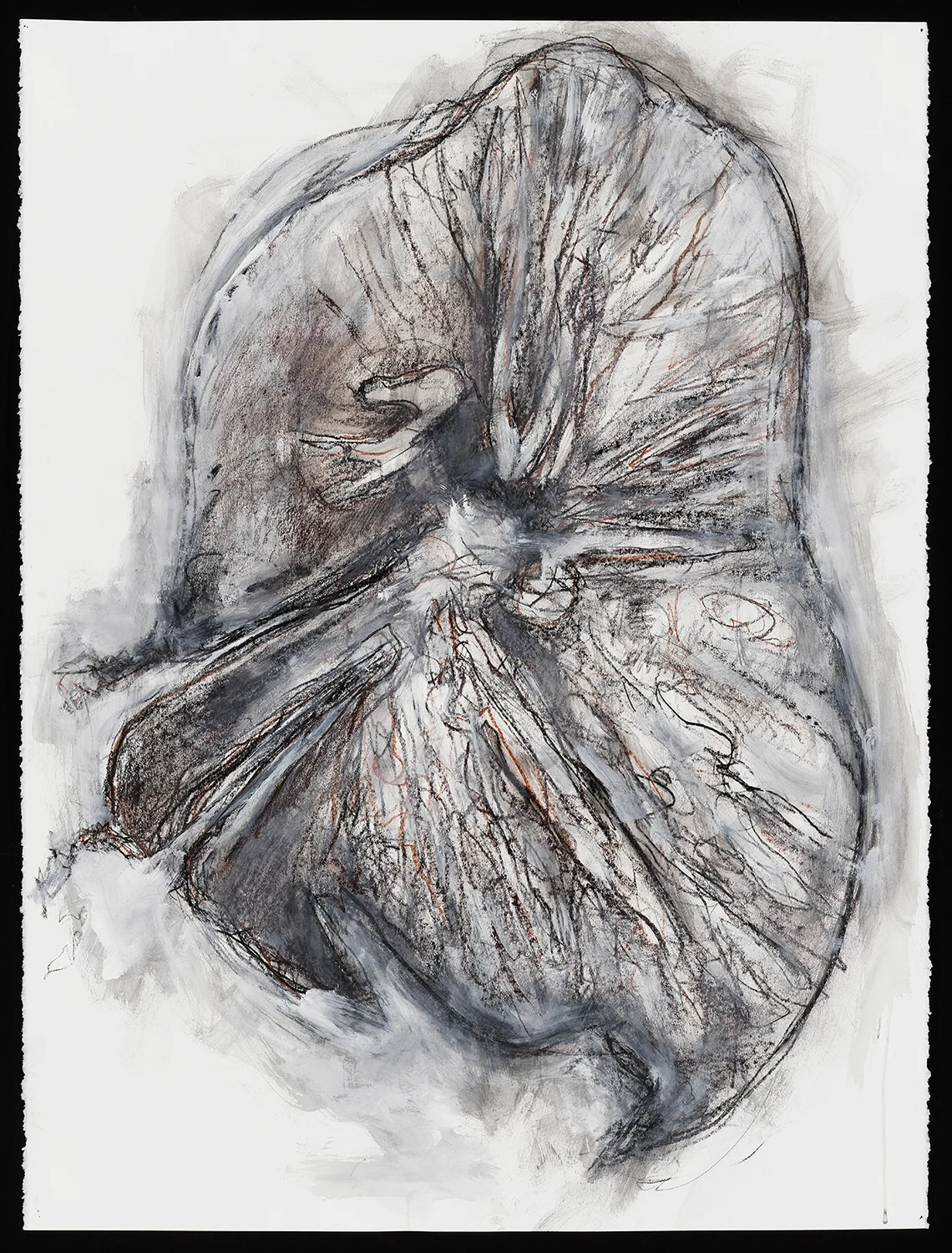 Conte and Flashe Drawing 30" x 22" 2018
