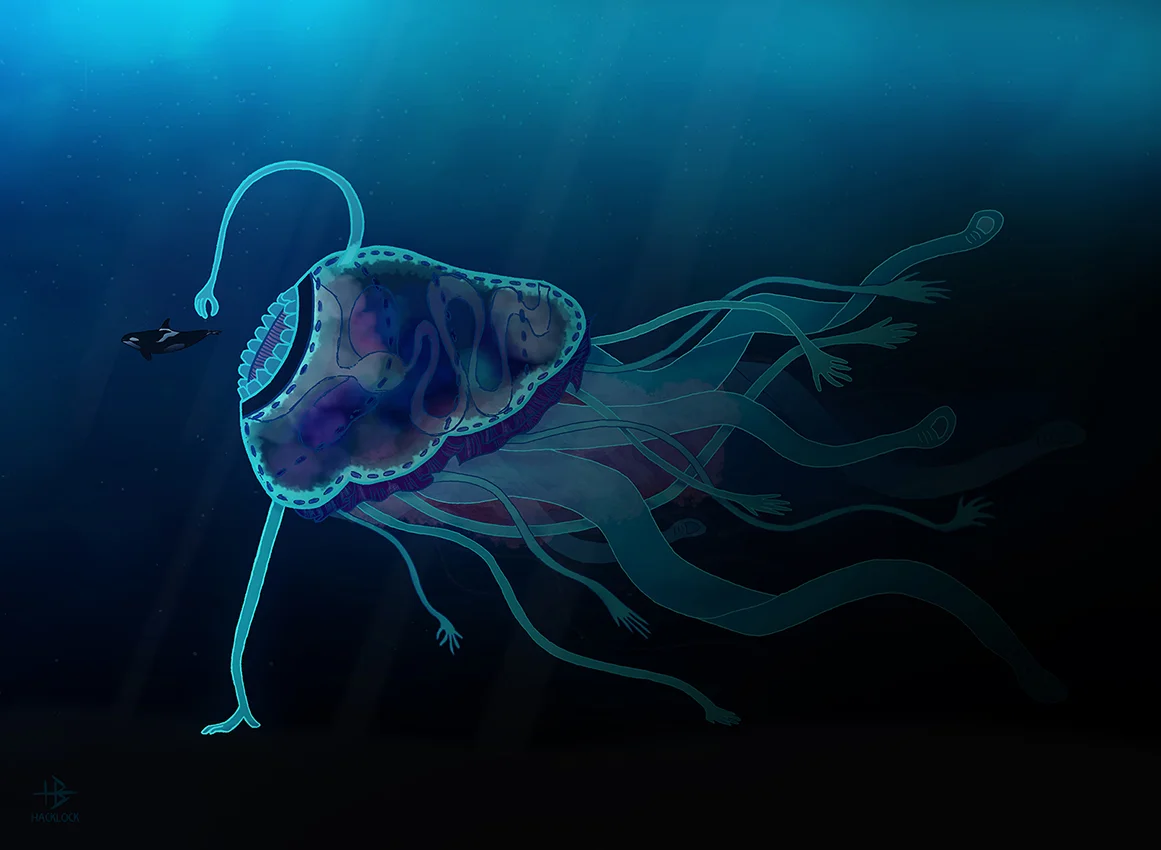 deep sea jellyfish.jpg