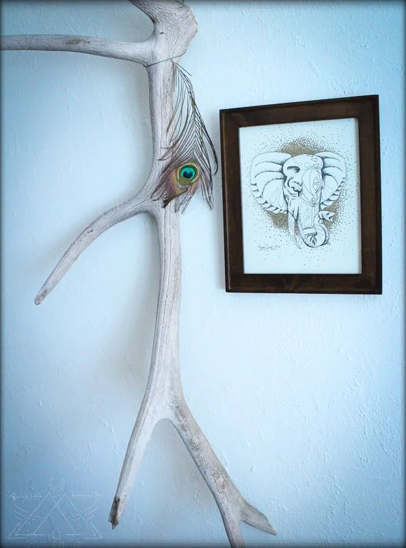 elephantillustrationghostriverart.jpg