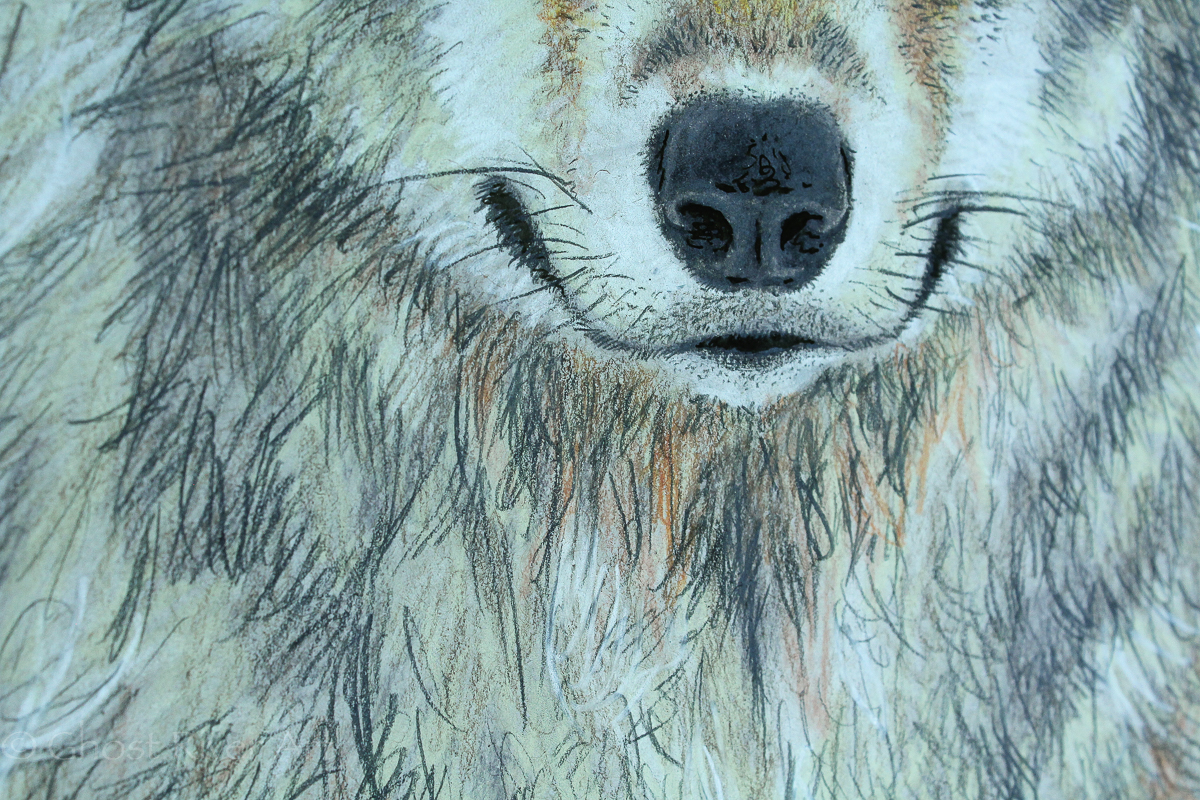 ghostriverwolfillustrationweb-3.jpg