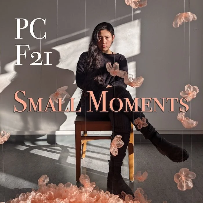 Pre-Candidacy Presentation