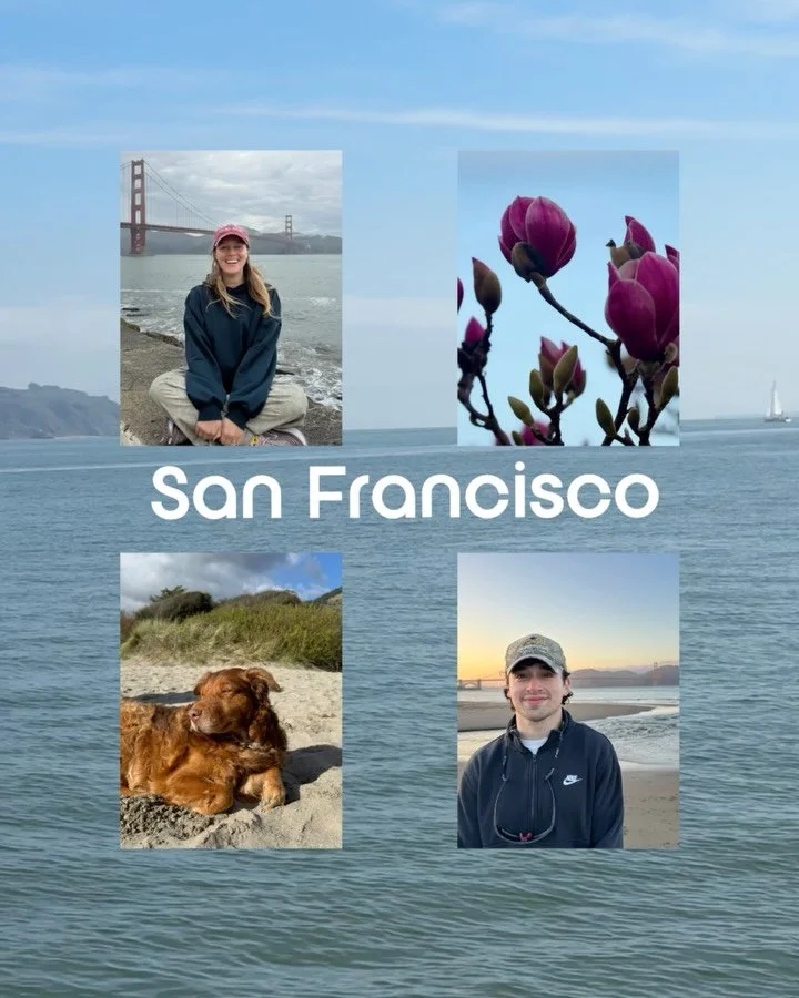February in San Fran 🩵 (last slide for a sneak peek 🤓)