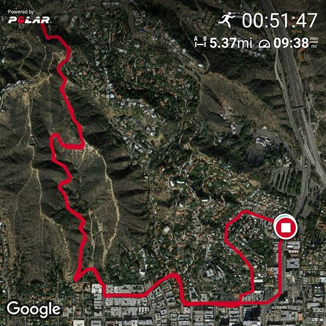 Getting high on Runyon Canyon. Legal drug! Nothing happens on the couch!!
#fit #runner #running #healthylifestyle #eatinghealthy #ripped #hills