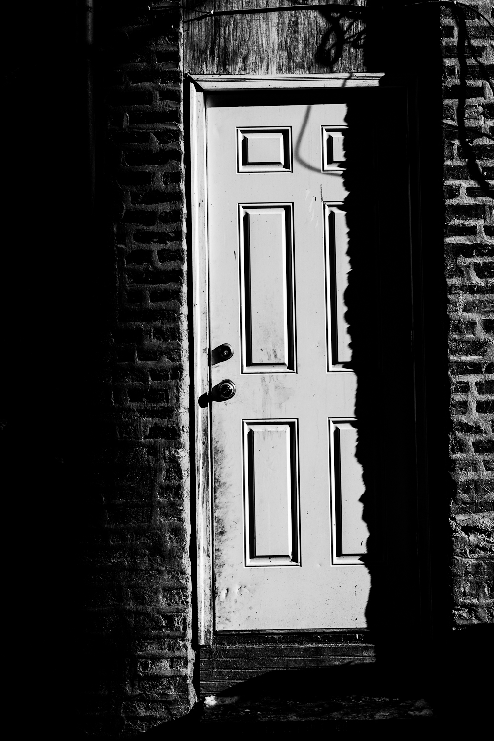 The Door, Chicago, 2016