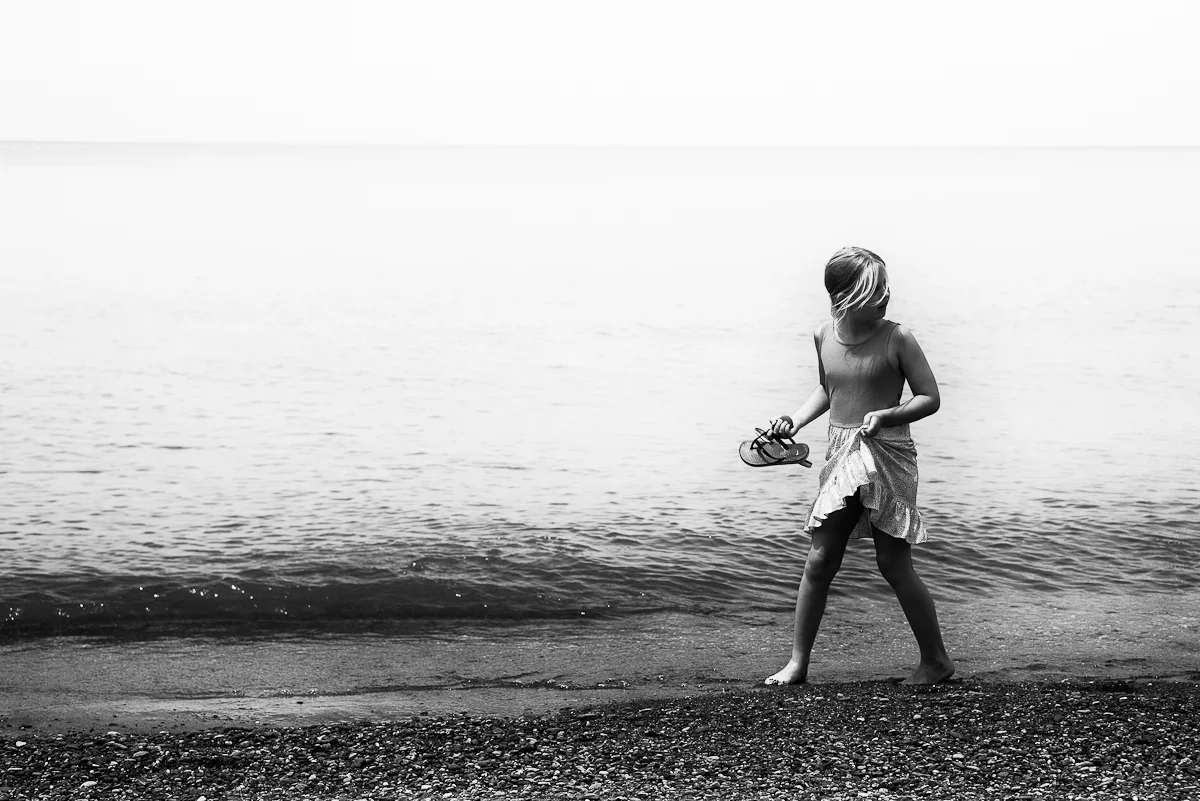 Ingmar Bergman Like, 2016