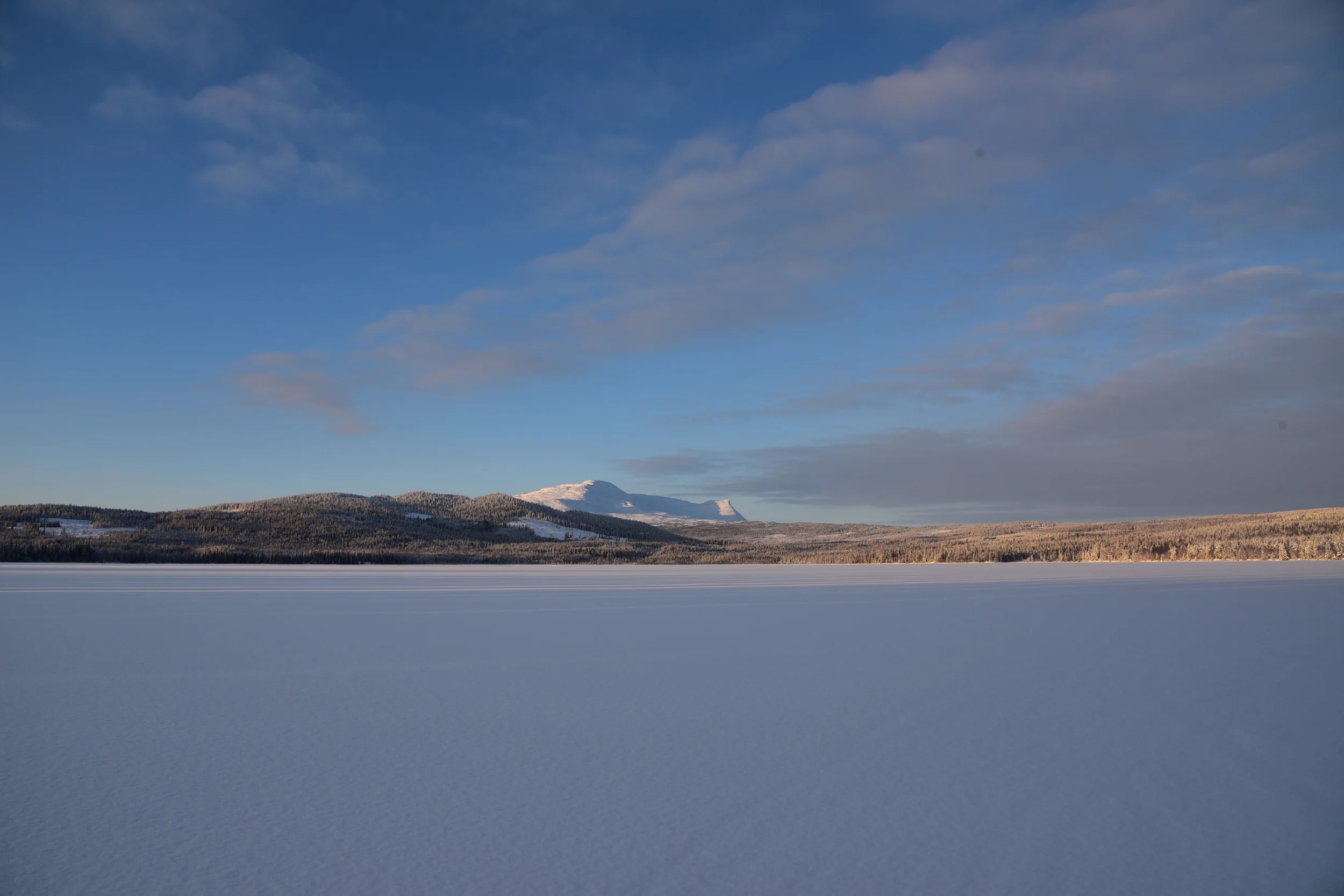 DSC_3757.JPG