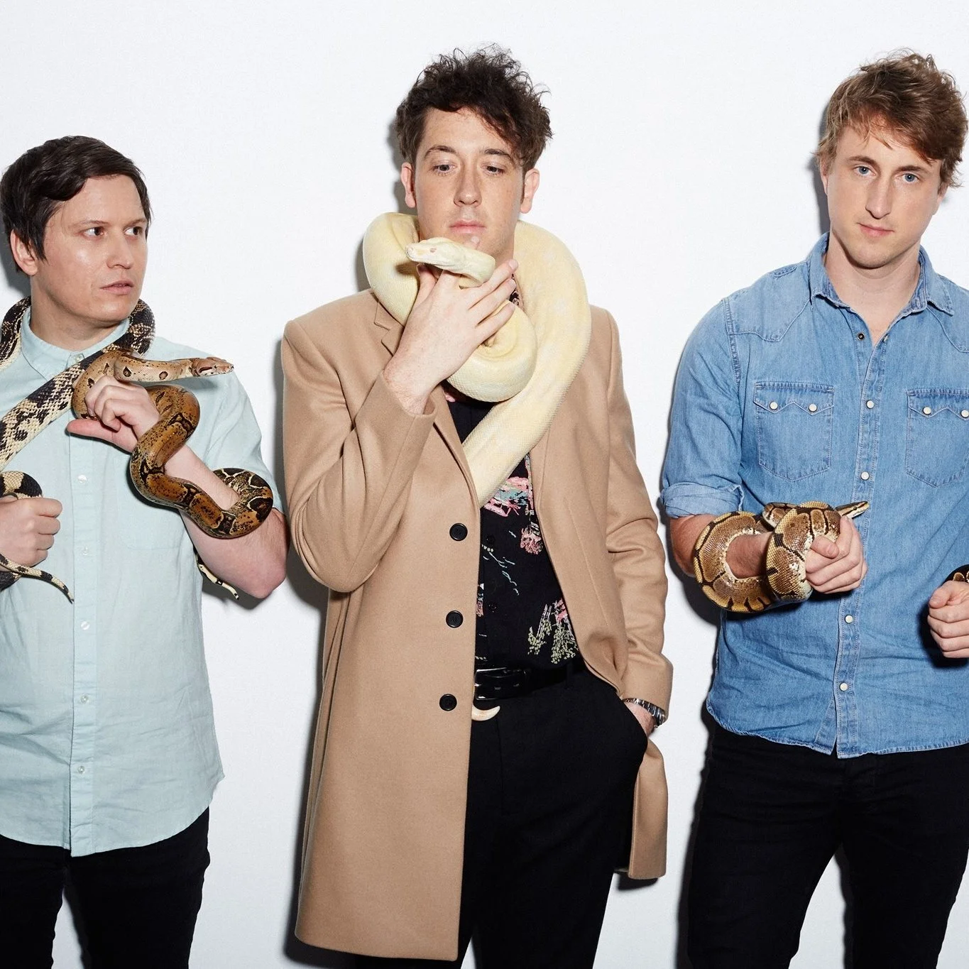 THE WOMBATS