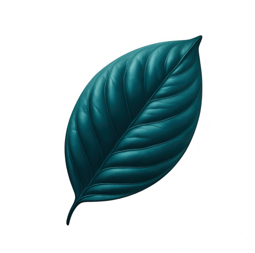 Limn Leaf Luxe Leaves 1.jpeg