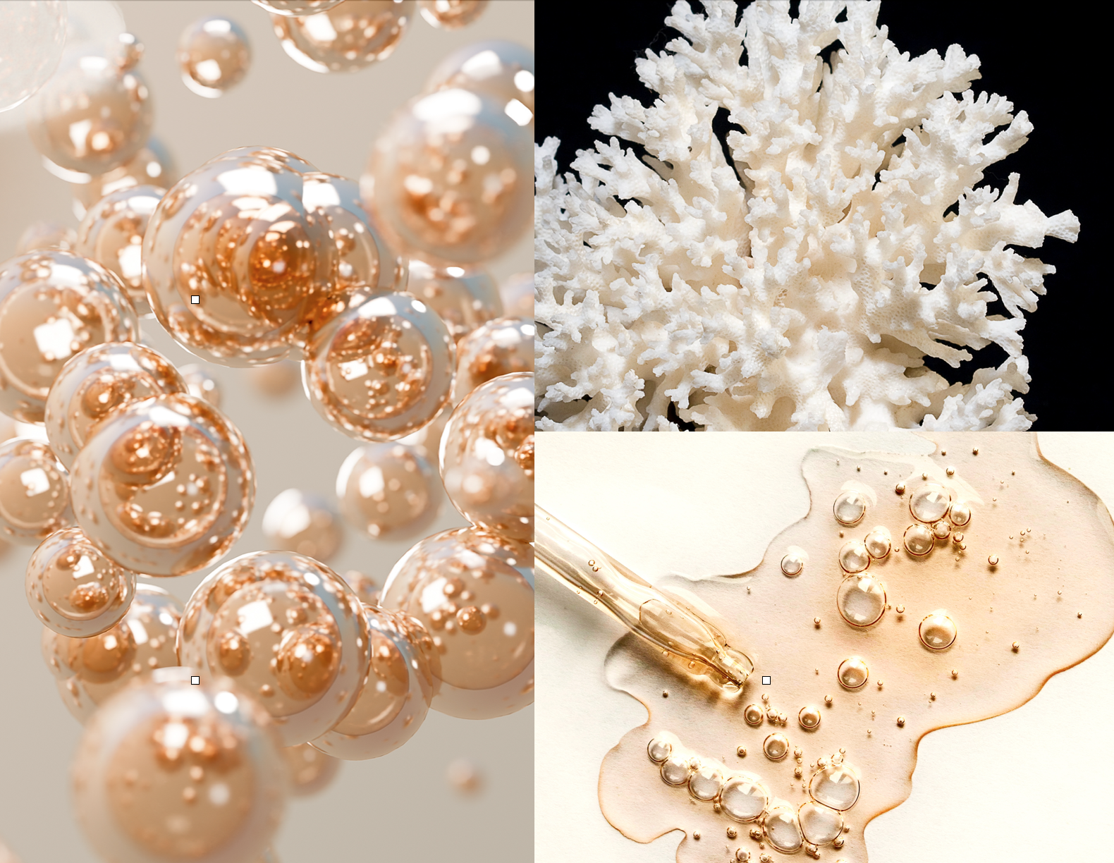 Marine Spicules