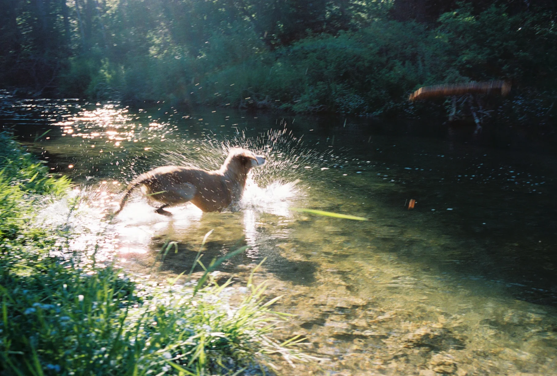 Leica-Portra400-A56139_018A.jpg