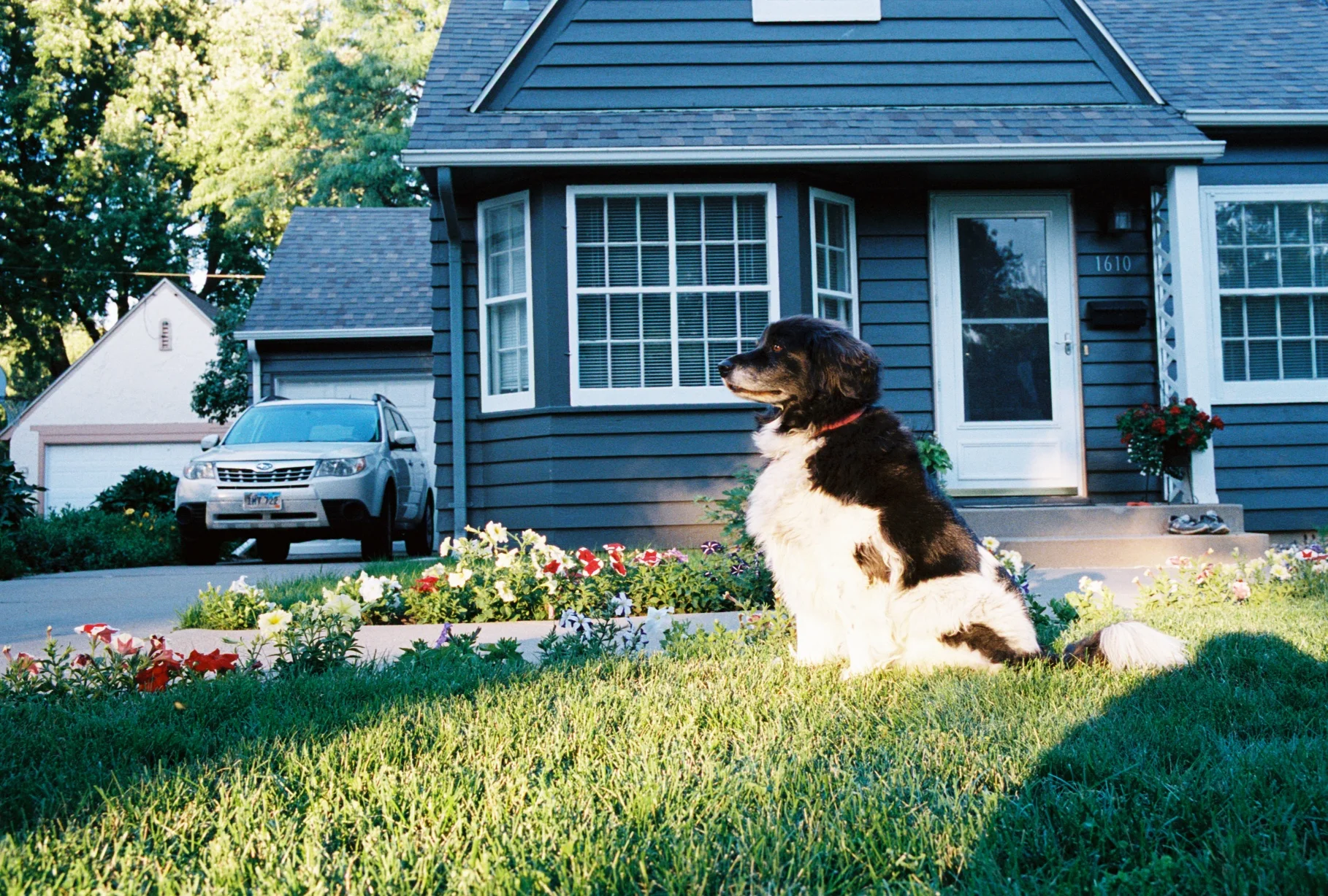 Leica-Portra400-A56139_009A.jpg