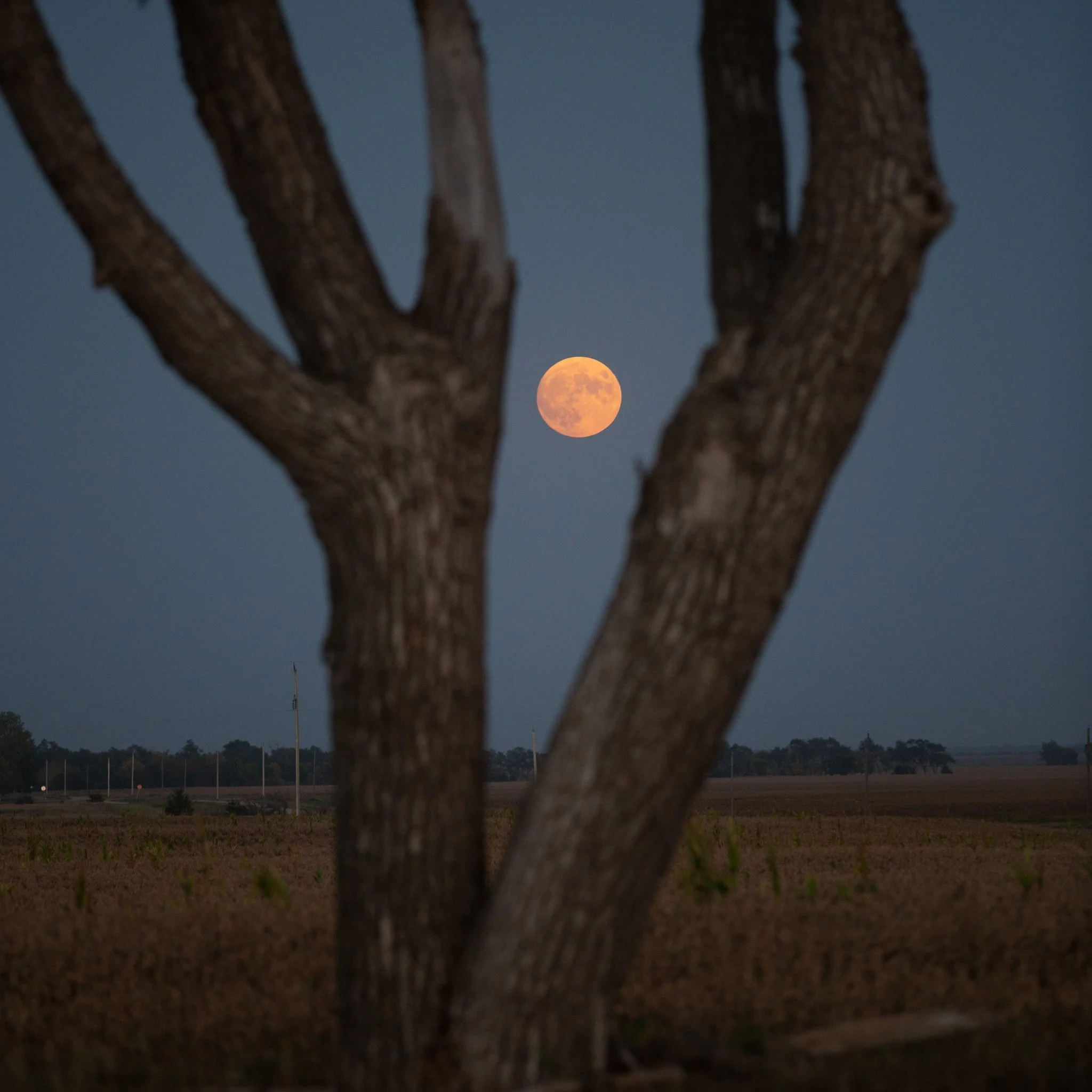 Rando-Supermoon-Huron.jpg