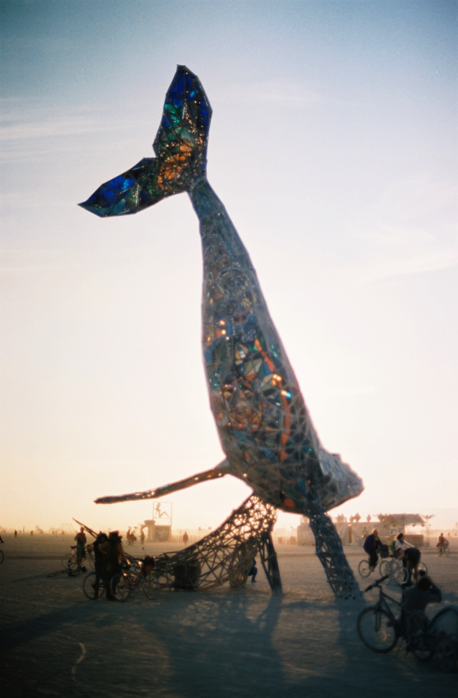 Spacewhale