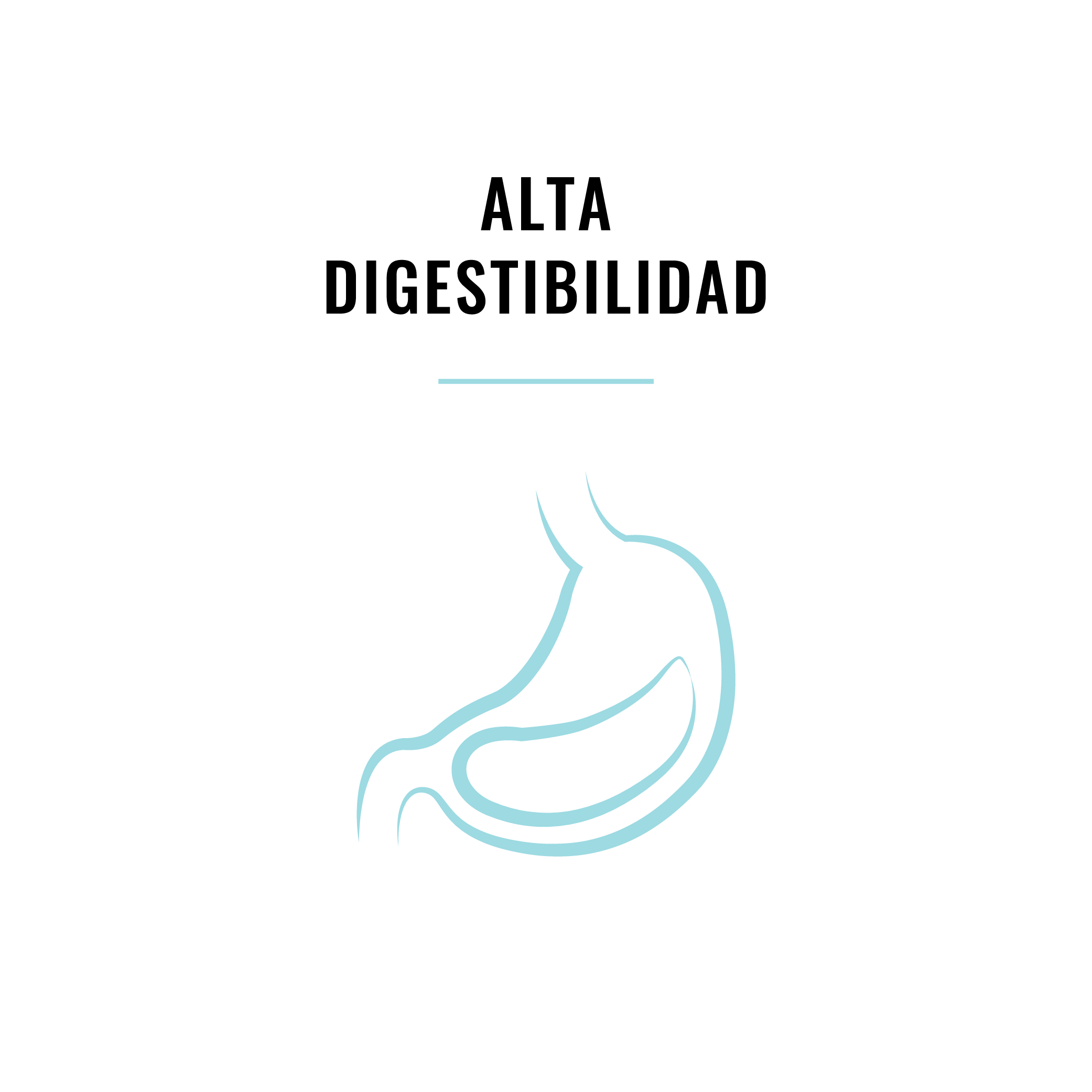  Con ingredientes de alta calidad para una mejor digestión y prebióticos para mejorar la regulación intestinal. 