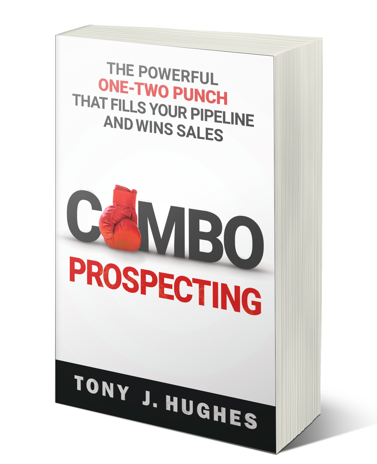 3D Paperback thick COMBO Prospecting.png