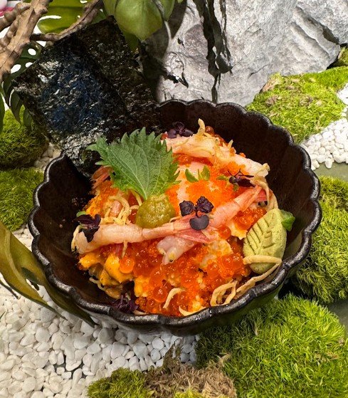 Hokkaido Don.jpg