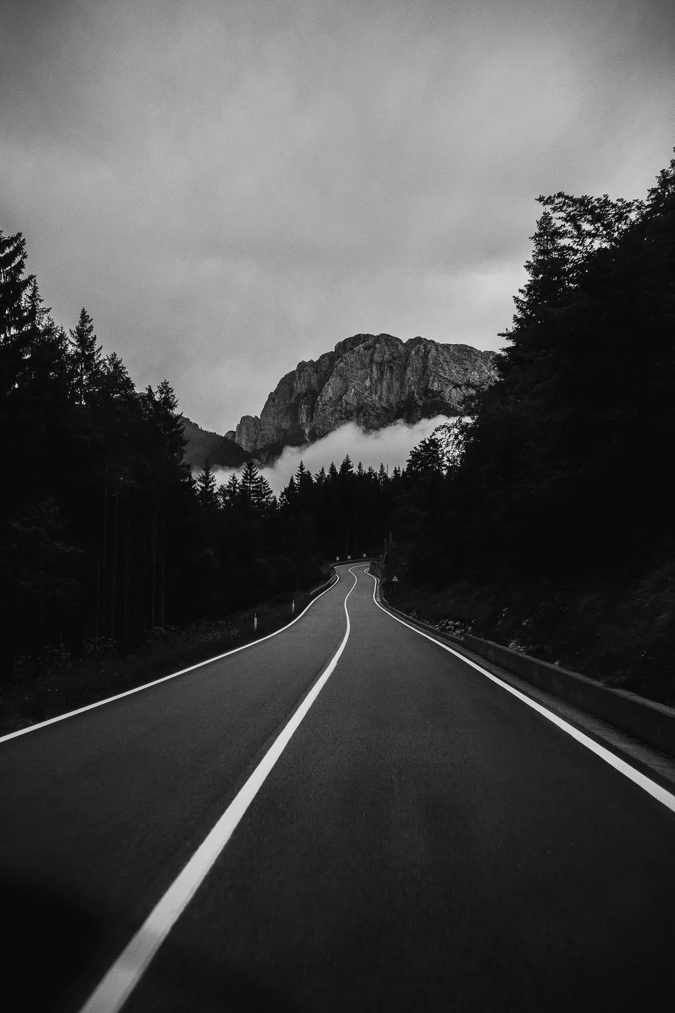 unnamed (7).jpg