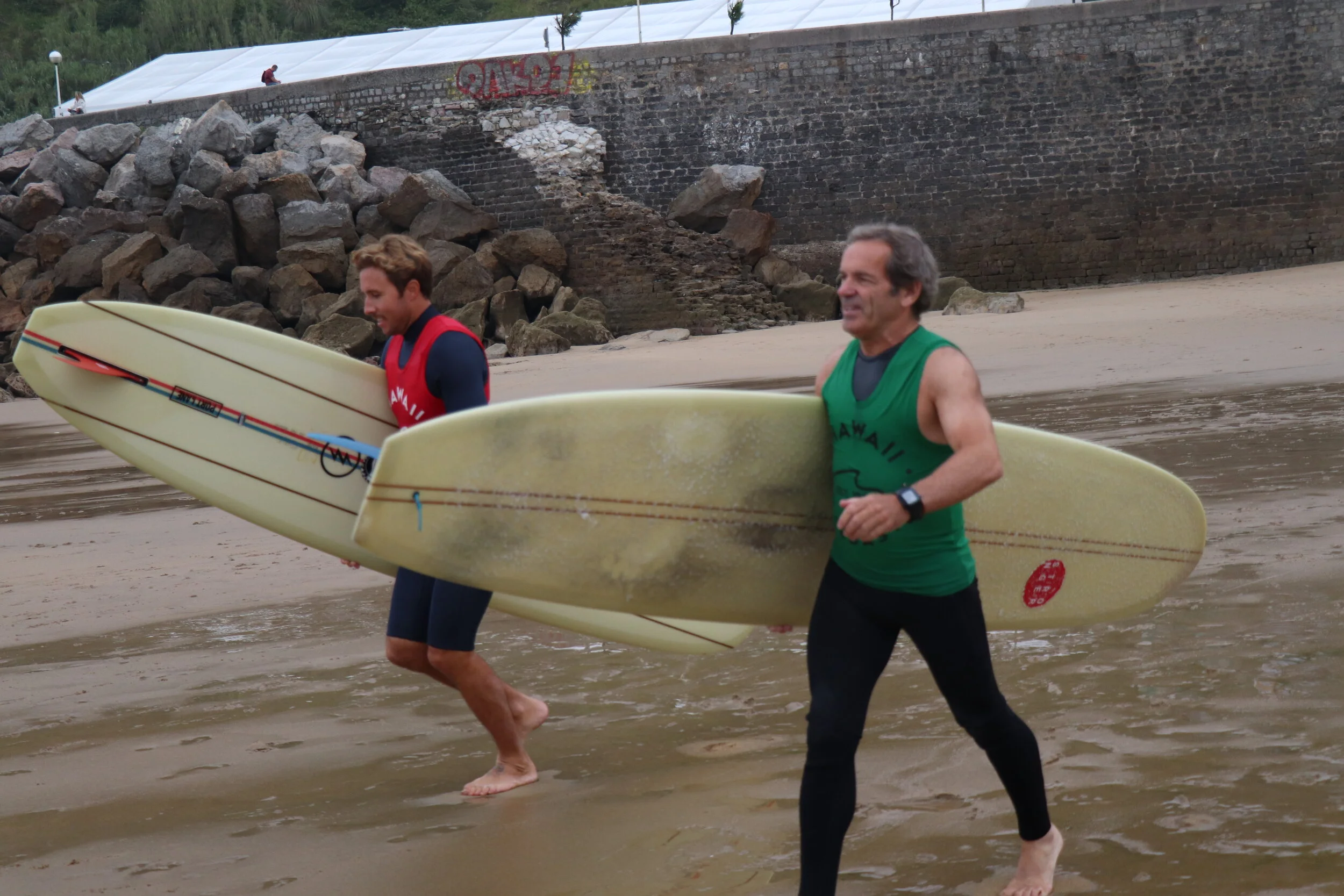 HAWAII DONOSTIA SINGLE FIN CLASSIC — Salt Water.