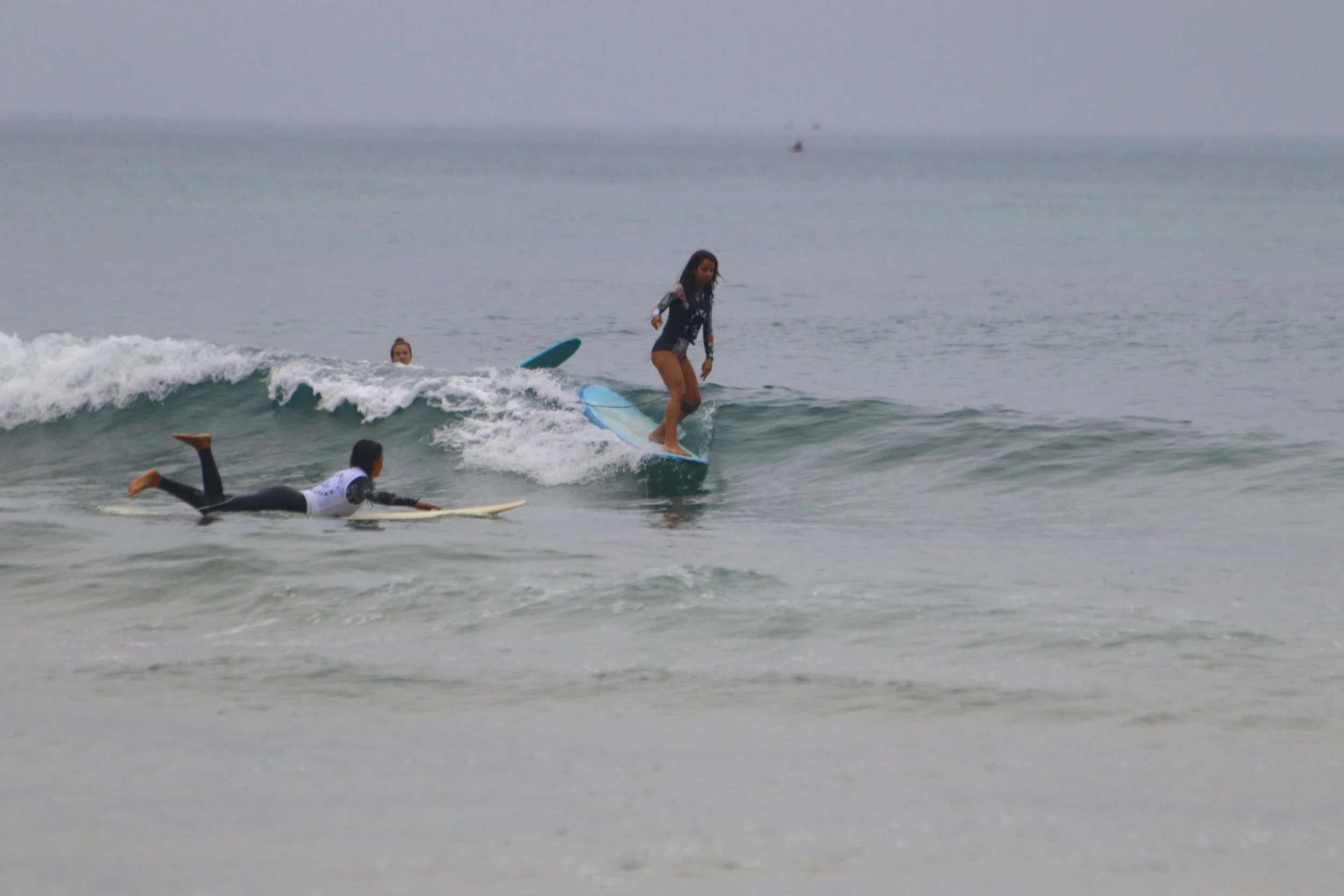 HAWAII DONOSTIA SINGLE FIN CLASSIC — Salt Water.