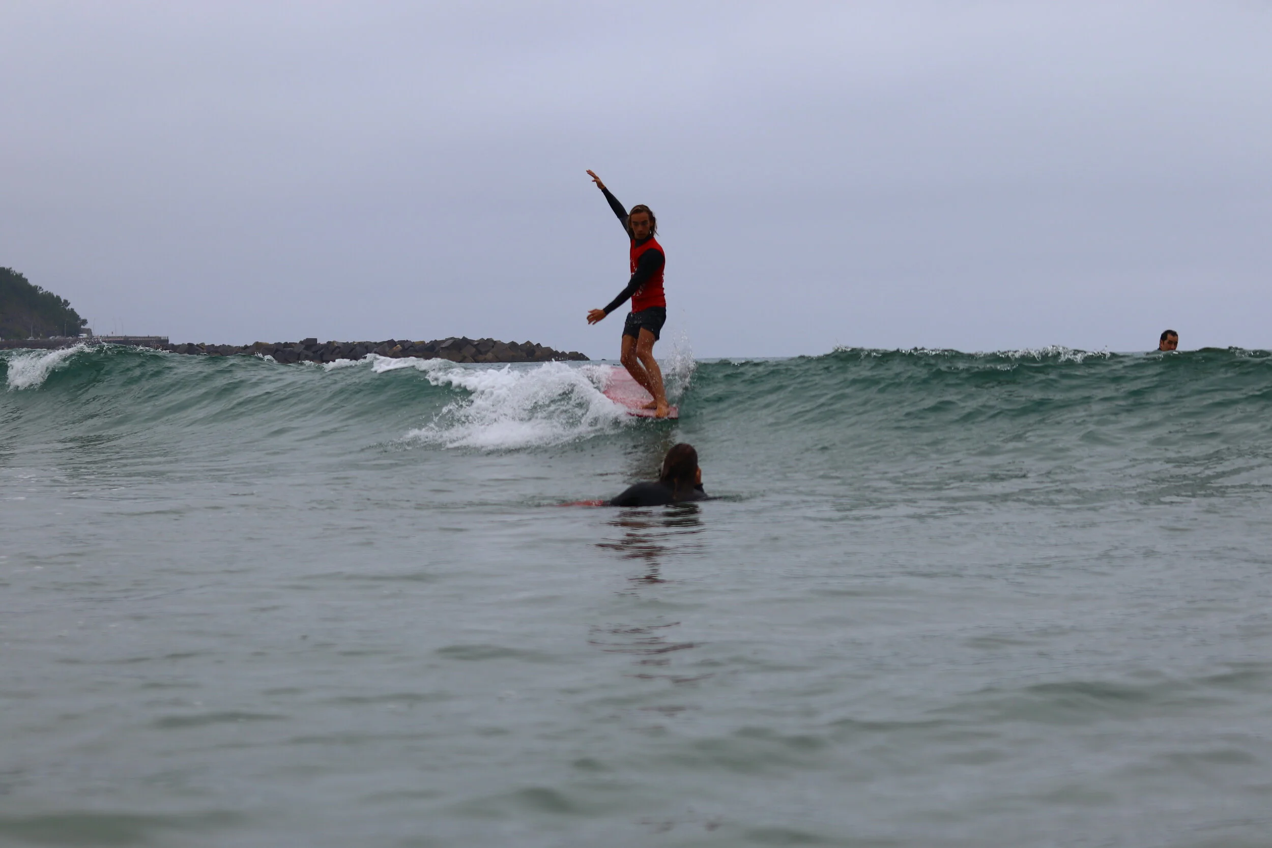 HAWAII DONOSTIA SINGLE FIN CLASSIC — Salt Water.