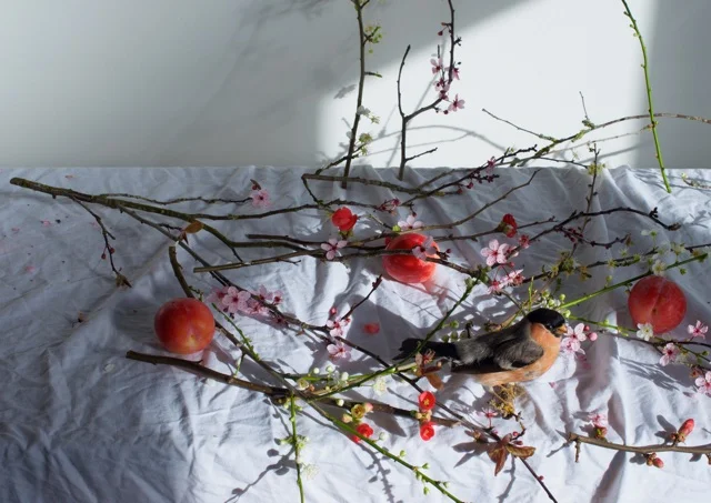 Art and anger in response to the sexual exploitation of children