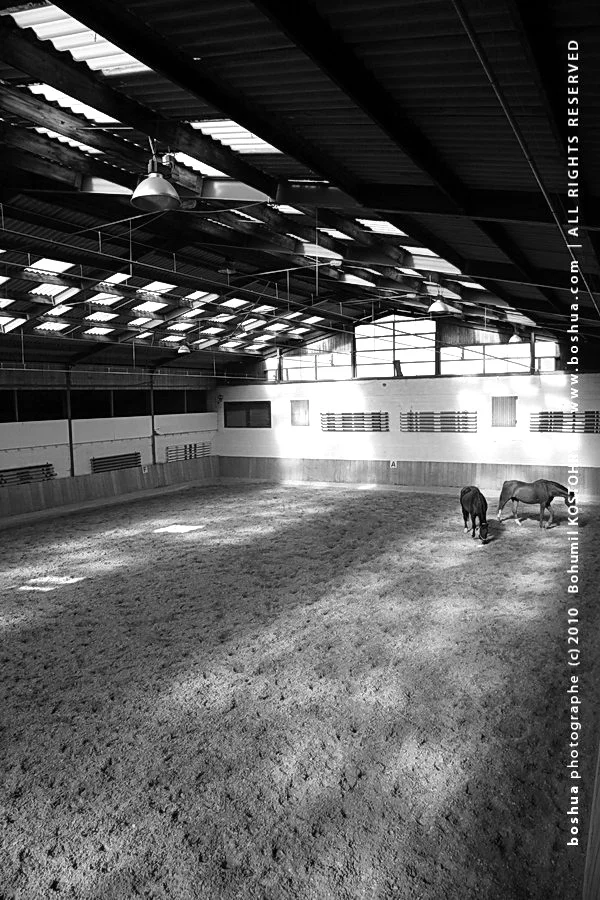 Derby_2_indoor arena.JPG
