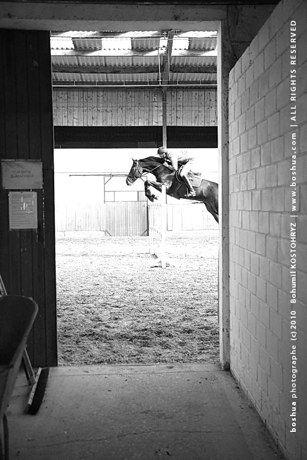 Derby_3_indoor arena.JPG