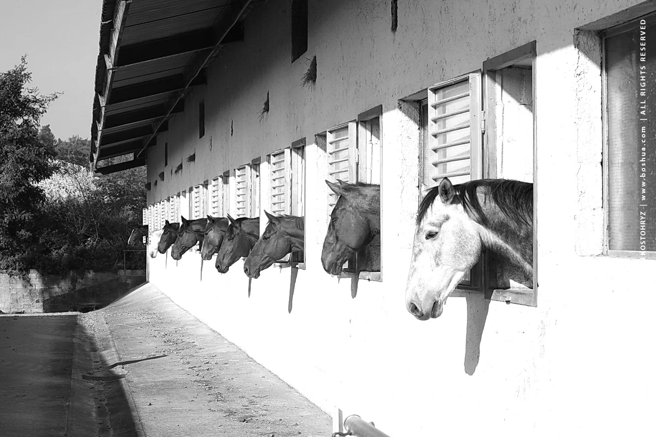 Derby_4_outdoor stables.JPG