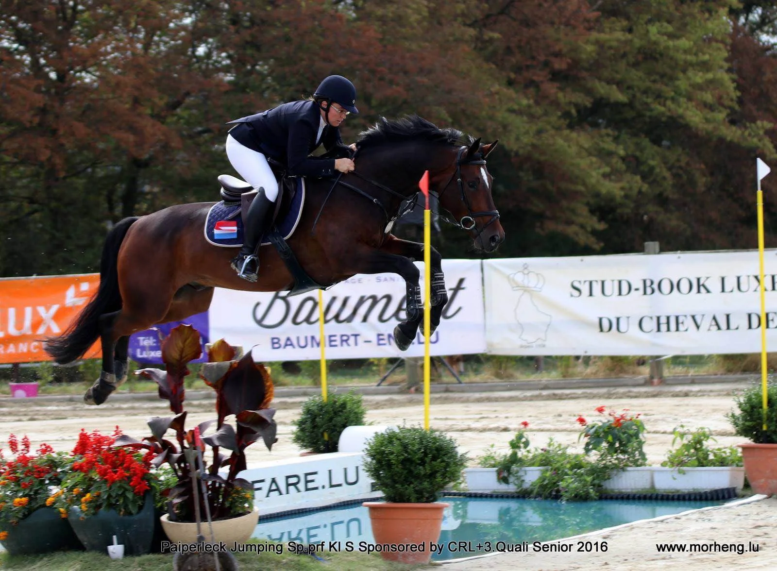 2016 Championnat 3.jpg