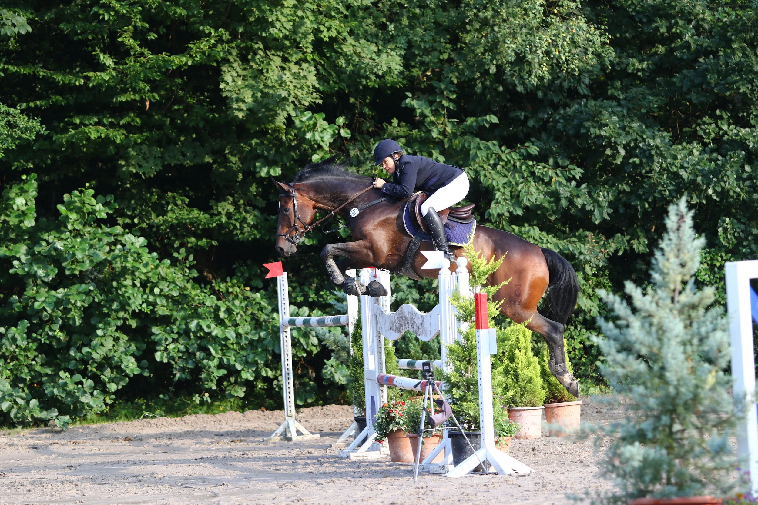 2017_09_02 Dudweiler S_Joker_8.jpg