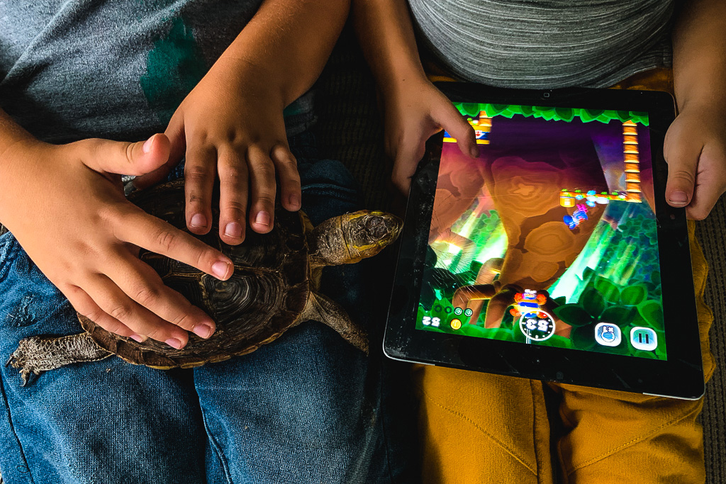 tortoise-turtle-pet-video-games.jpg