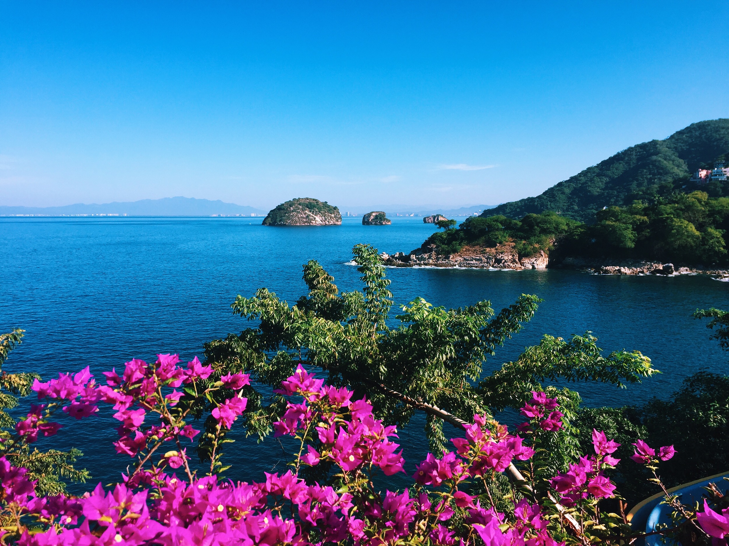 Private Event| Puerto Vallarta, Mexico