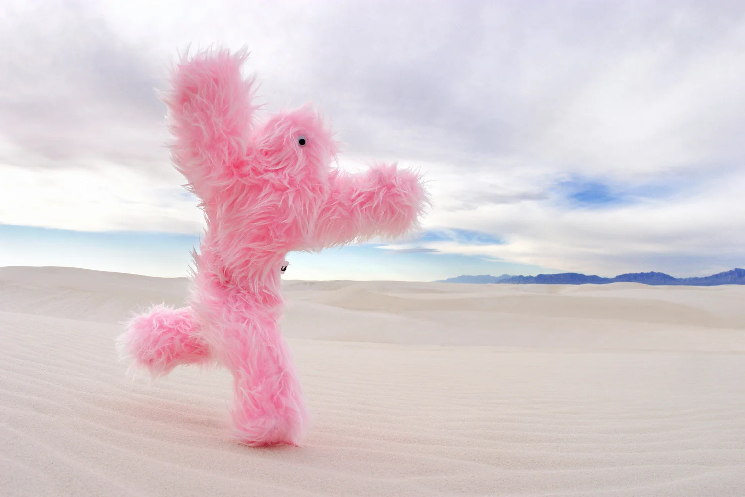 That scary as hell thing you want to do? Here's your reminder + a guide to doing it