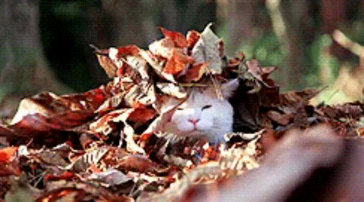 Autumn yoga + movement workshops in Bergen, Norway (Sold out - get in touch for waiting list!)