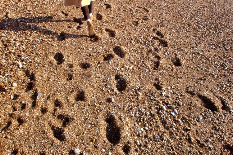 dionne journey footsteps.jpg