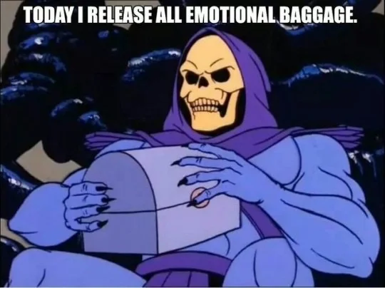 skelator release all emotional baggage meme.jpeg