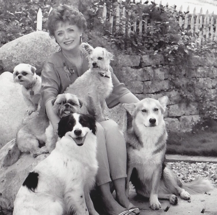 Using creativity to overcome a setback 🎨// Shownotes for ‘I Feel For You’ podcast episode 59