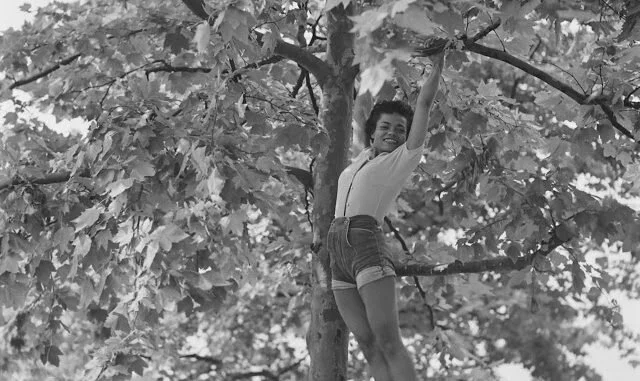 Traveling without moving 🦋 // Shownotes for ‘I Feel For You’ podcast episode 67