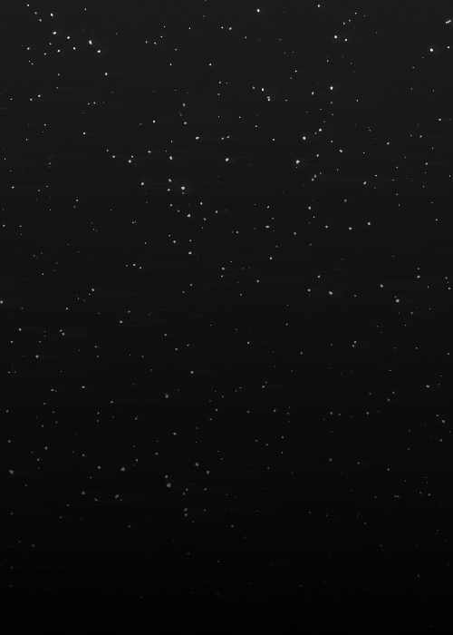 Are you watching NEOWISE? βοΈ
