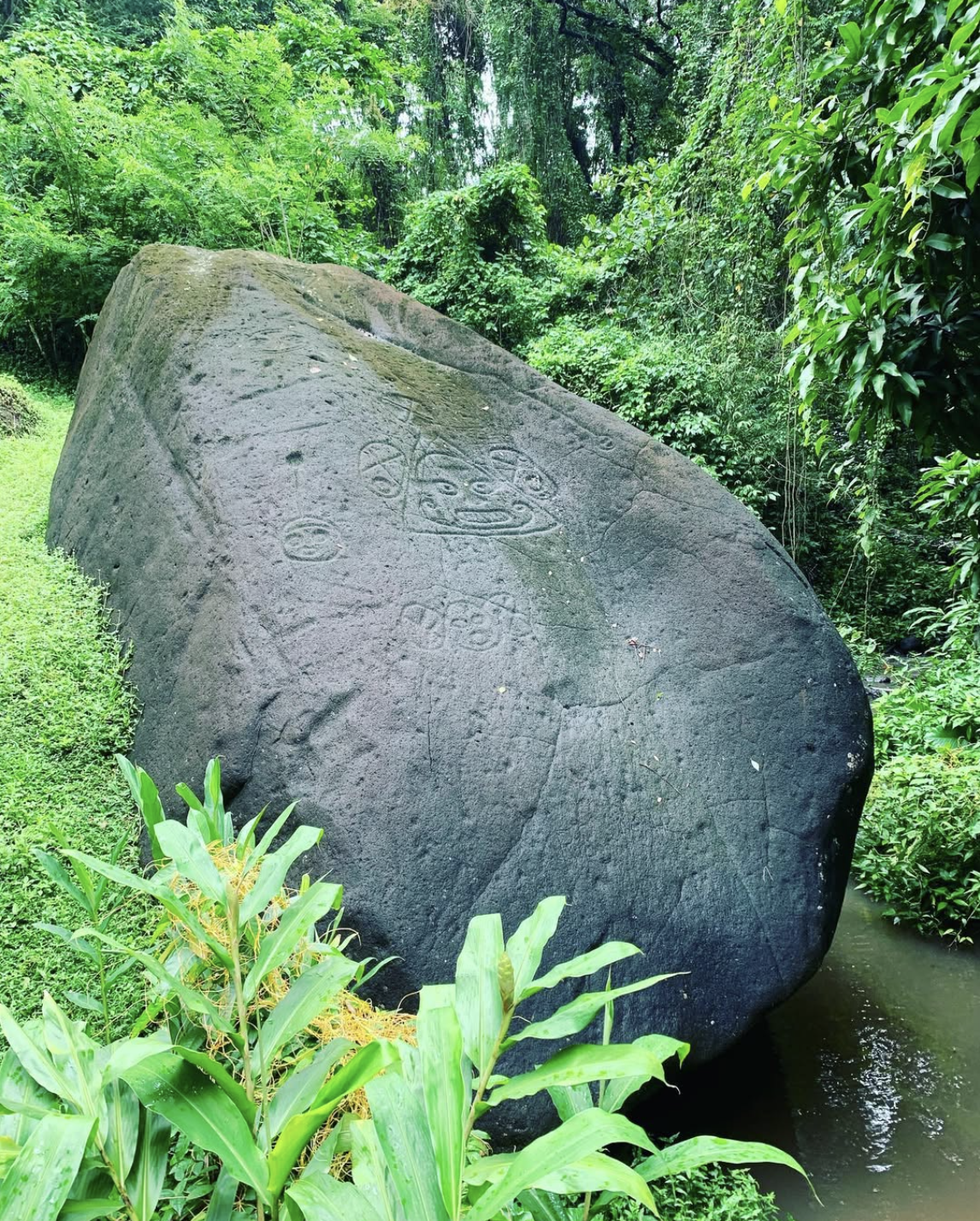 Ancient Petroglyphs in Layou dionne elizabeth.png
